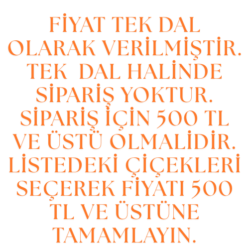 AÇIKLAMA